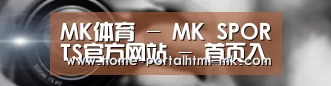 公司动态