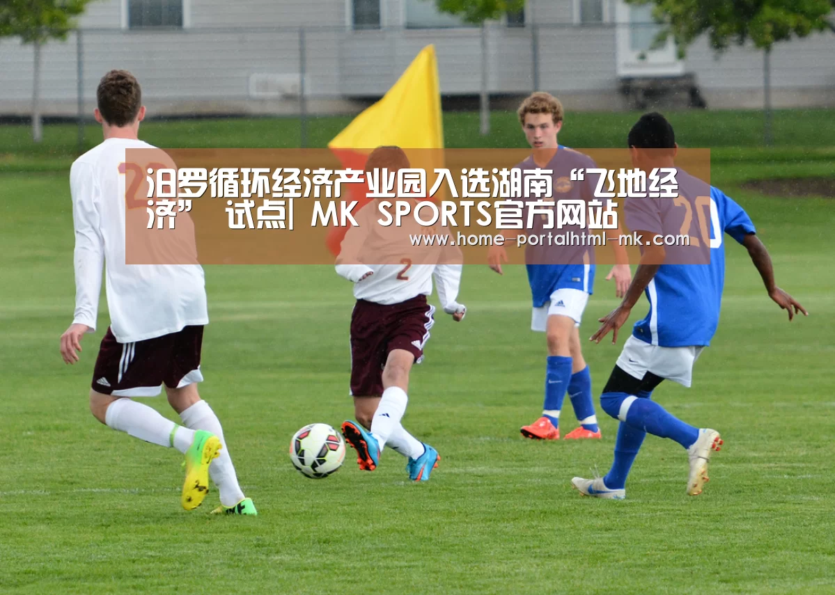 汨罗循环经济产业园入选湖南“飞地经济” 试点| MK SPORTS官方网站 (图1) MK体育