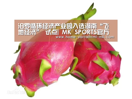 汨罗循环经济产业园入选湖南“飞地经济” 试点| MK SPORTS官方网站 (图2) MK SPORTS官方网站