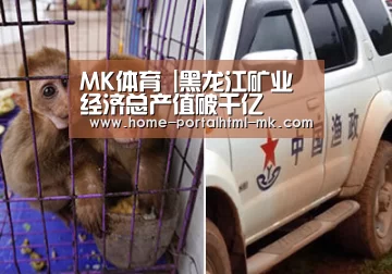 MK体育 |黑龙江矿业经济总产值破千亿(图1) MK SPORTS官方网站