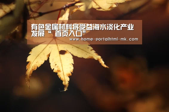  首页入口