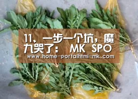  MK SPORTS官方网站 
