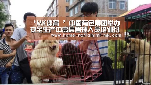  首页入口