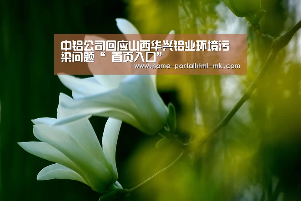  首页入口