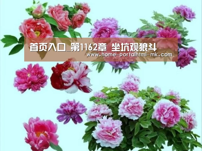 首页入口_第1162章 坐坑观狼斗(图3) MK体育