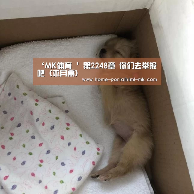 ‘MK体育 ’第2248章 你们去举报吧(求月票)(图4) MK SPORTS官方网站